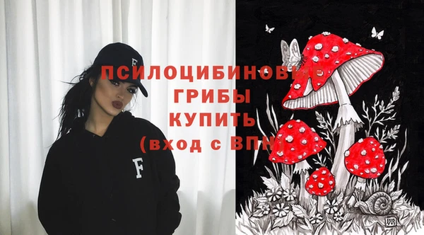 не бодяженный Арсеньев