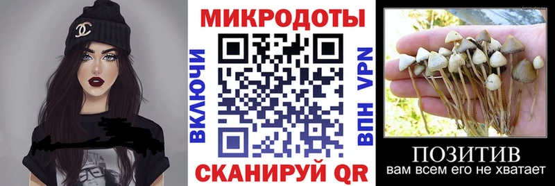Купить  Белёв  Псилоцибиновые грибы мицелий 